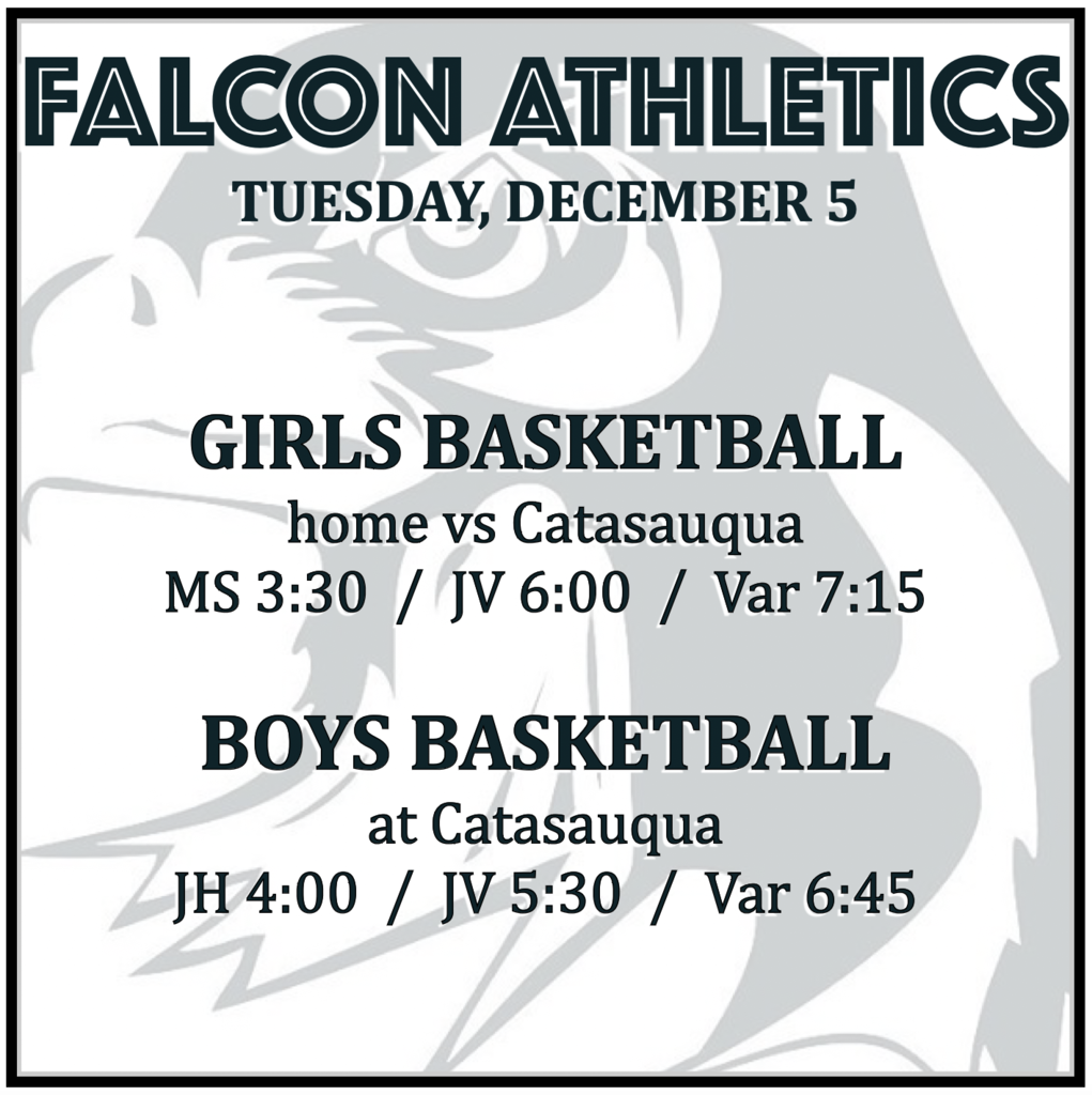 GIRLS BASKETBALL home vs Catasauqua: MS 3:30, JV 6:00, Varsity 7:15. BOYS BASKETBALL at Catasauqua: JH 4:00, JV 5:30, Varsity 6:45.