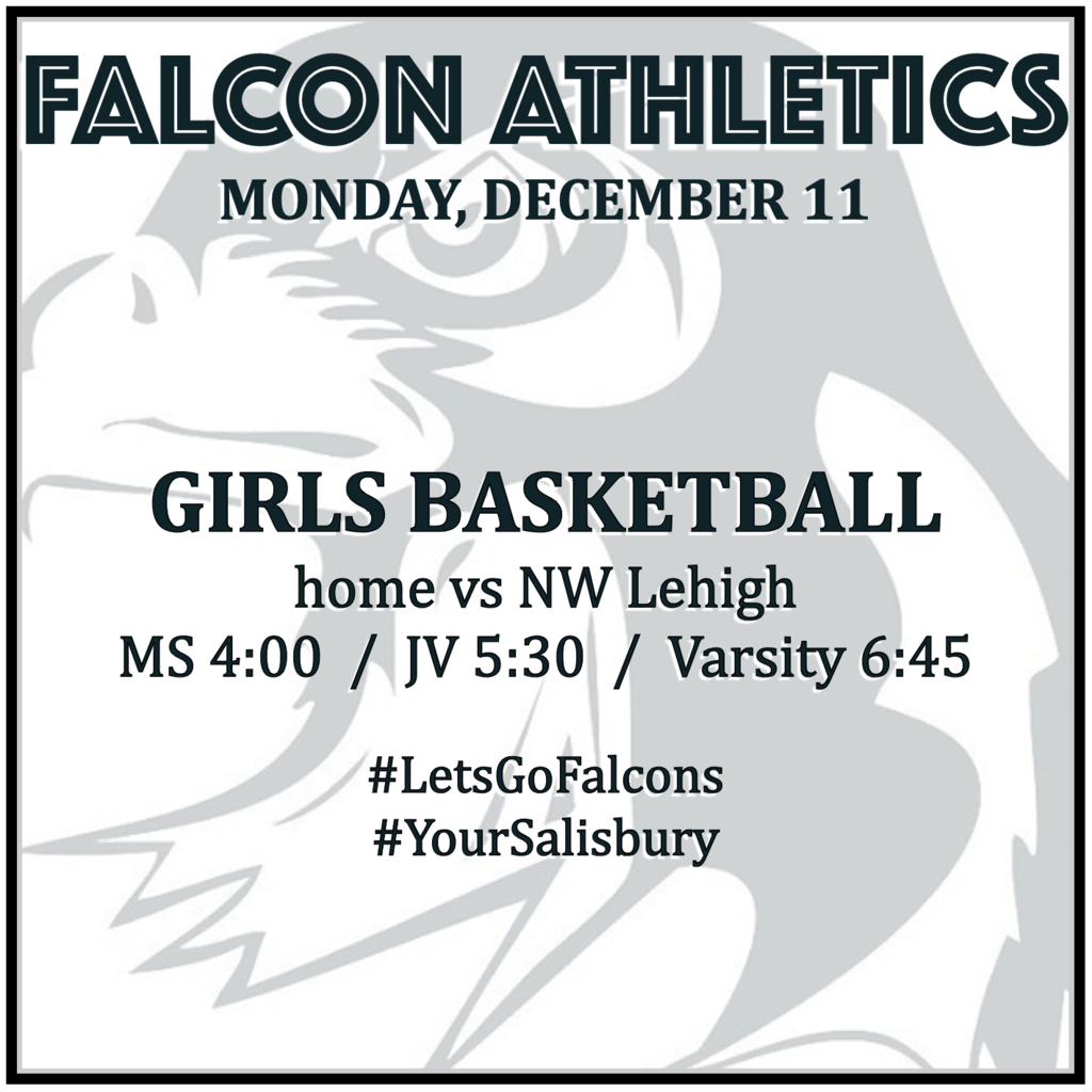 GIRLS BASKETBALL home vs NW Lehigh: MS 4:00, JV 5:30, Varsity 6:45.