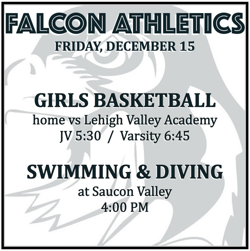 GIRLS BASKETBALL home vs Lehigh Valley Academy: JV 5:30, Varsity 6:45. SWIMMING & DIVING at Saucon Valley: 4:00 PM.