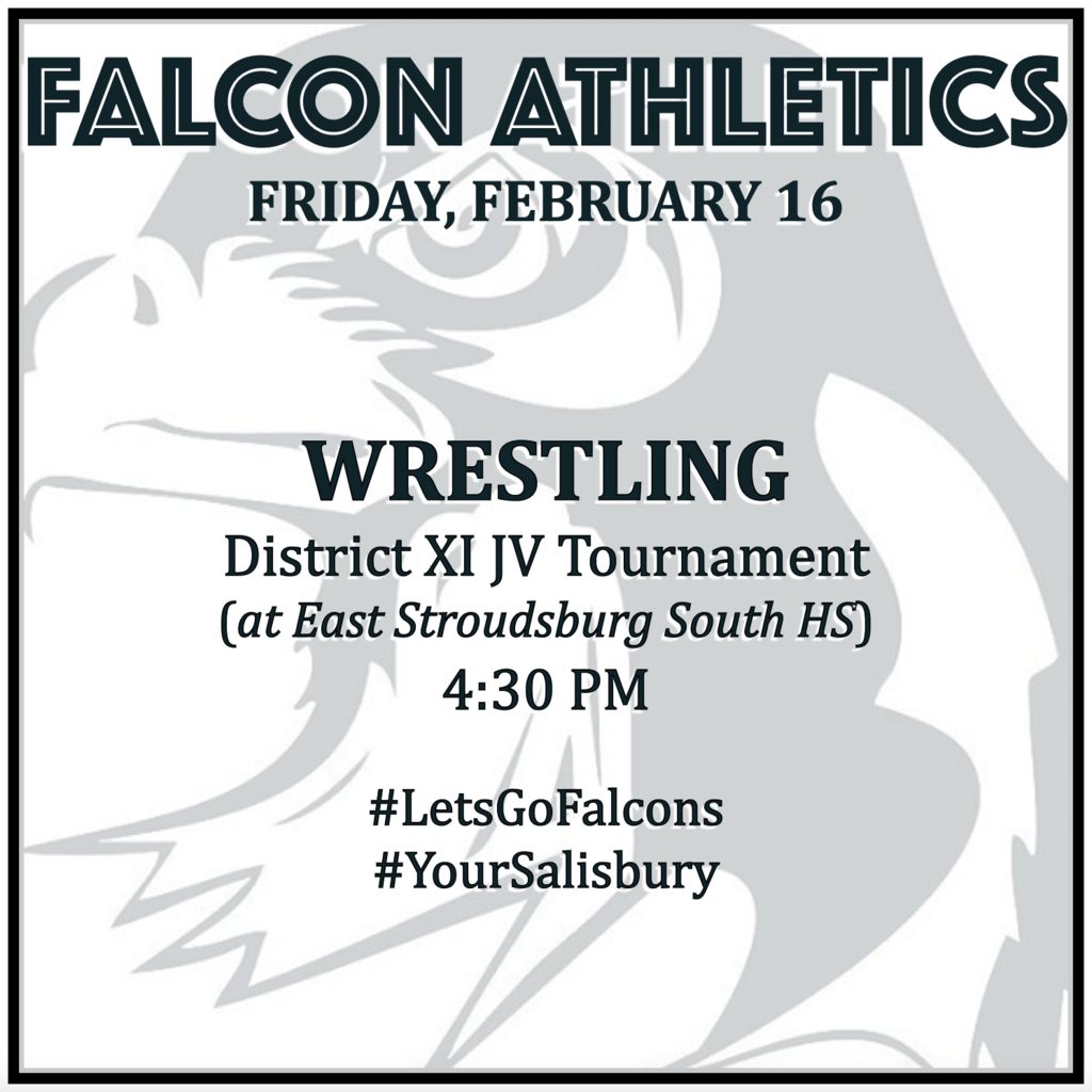 WRESTLING at District XI JV Tournament (East Stroudsburg South HS): 4:30 PM. 