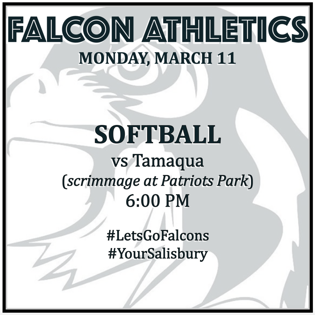 SOFTBALL vs Tamaqua (scrimmage at Patriots Park): 6:00 PM.
