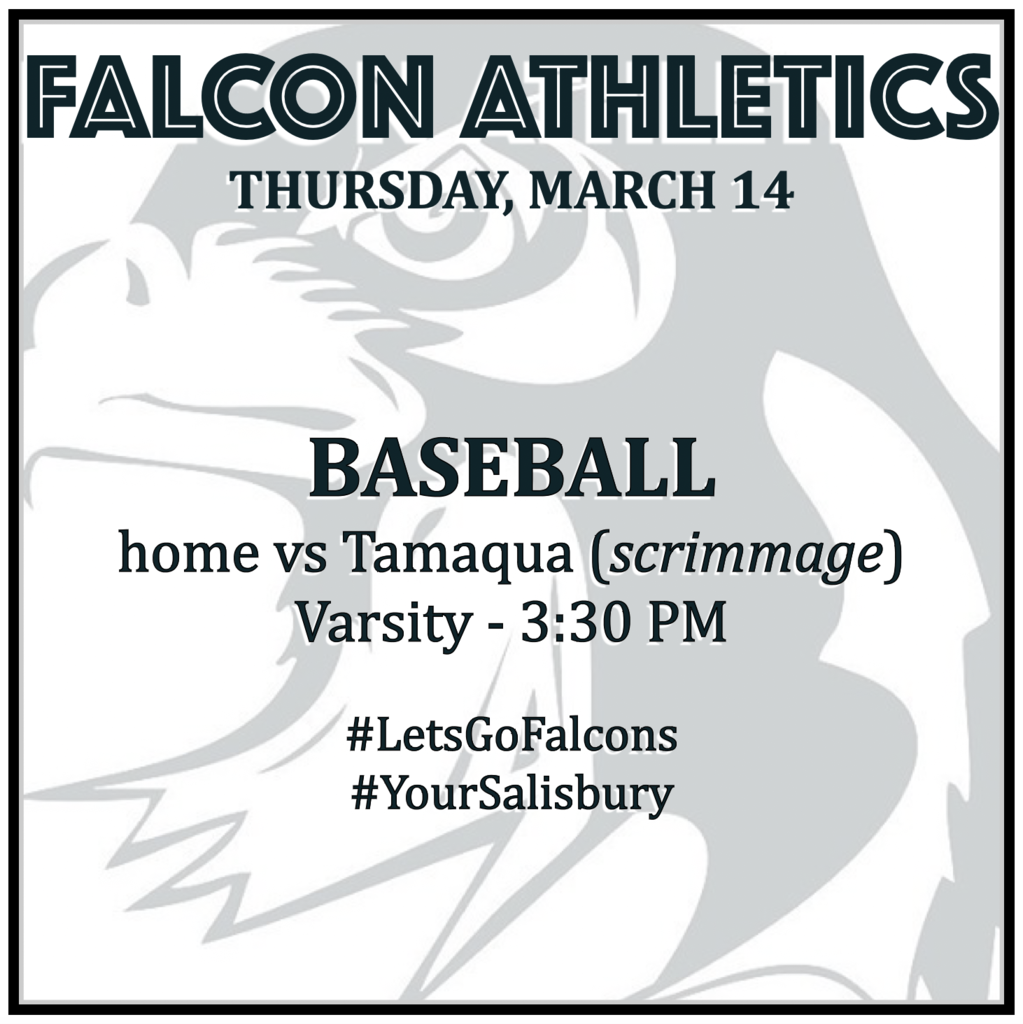 BASEBALL home vs Tamaqua (scrimmage): Varsity 3:30 PM.