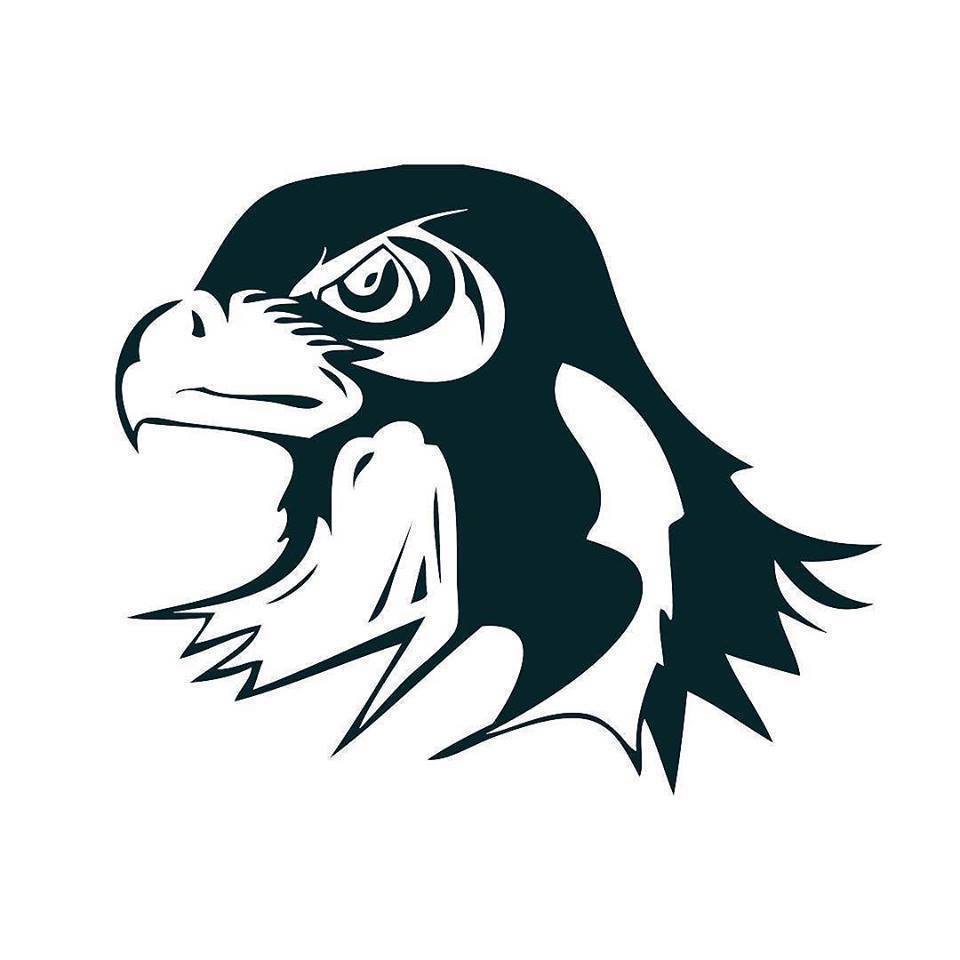 Salisbury Falcons