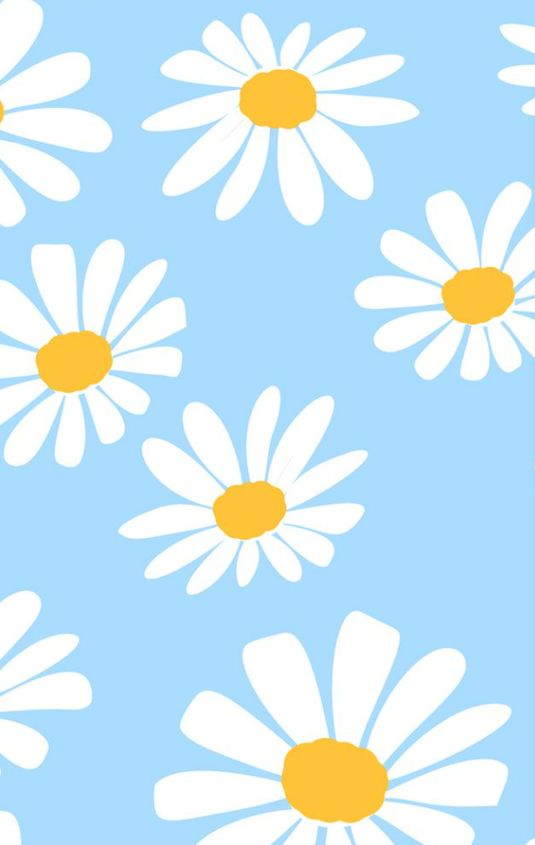 White flowers with yellow seed pod and baby blue background