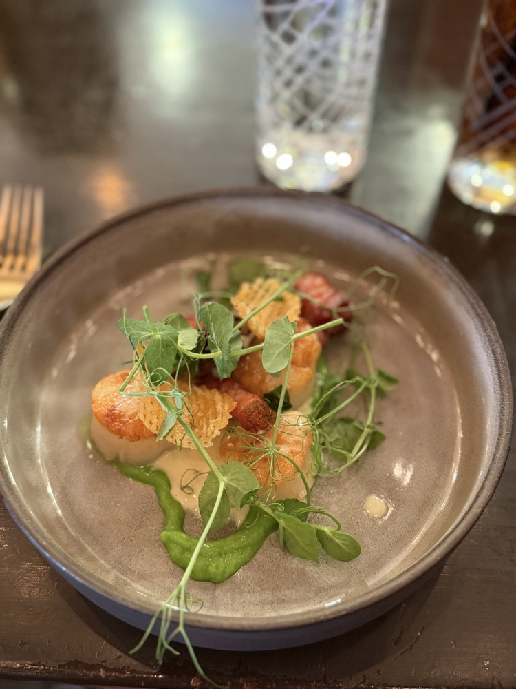 scallops