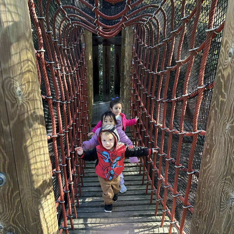 Preschool visits The Morton Arboretum 🌳