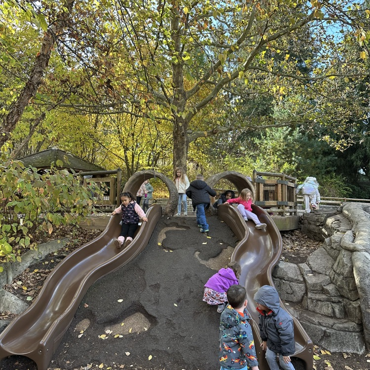Preschool visits The Morton Arboretum 🌳