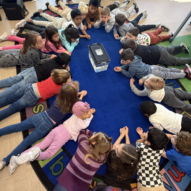 The Naturalist! 🍃🐇🐀🦡🦔