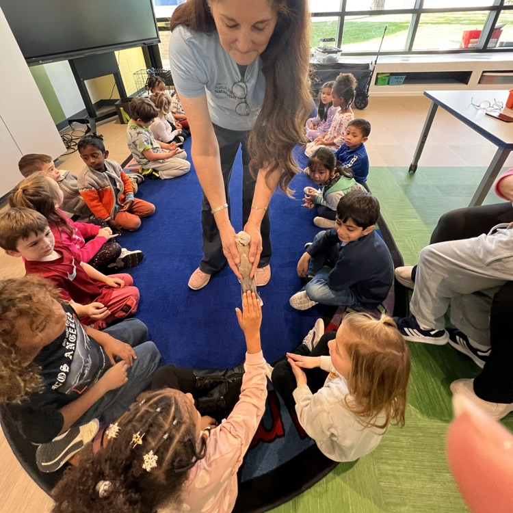 The Naturalist! 🍃🐇🐀🦡🦔