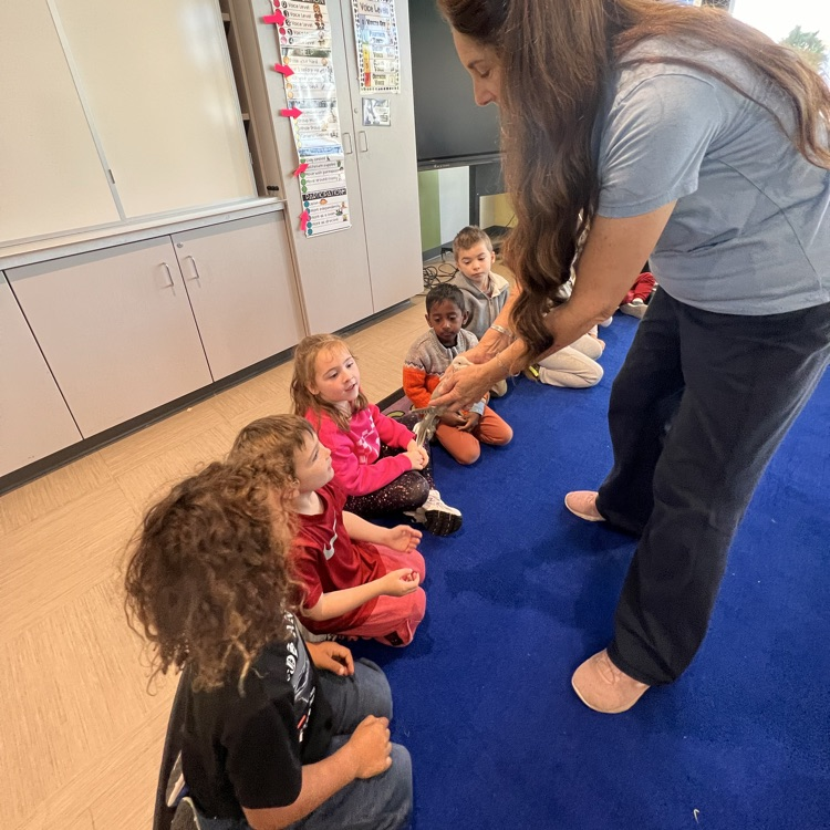 The Naturalist! 🍃🐇🐀🦡🦔