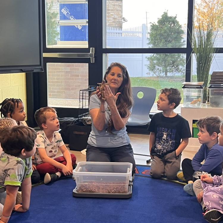 The Naturalist! 🍃🐇🐀🦡🦔