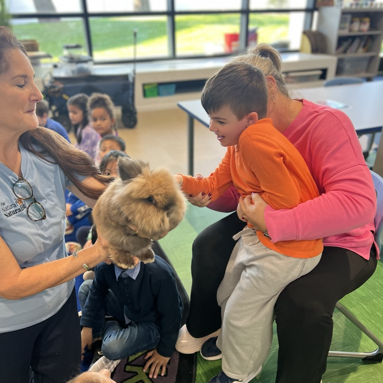 The Naturalist! 🍃🐇🐀🦡🦔