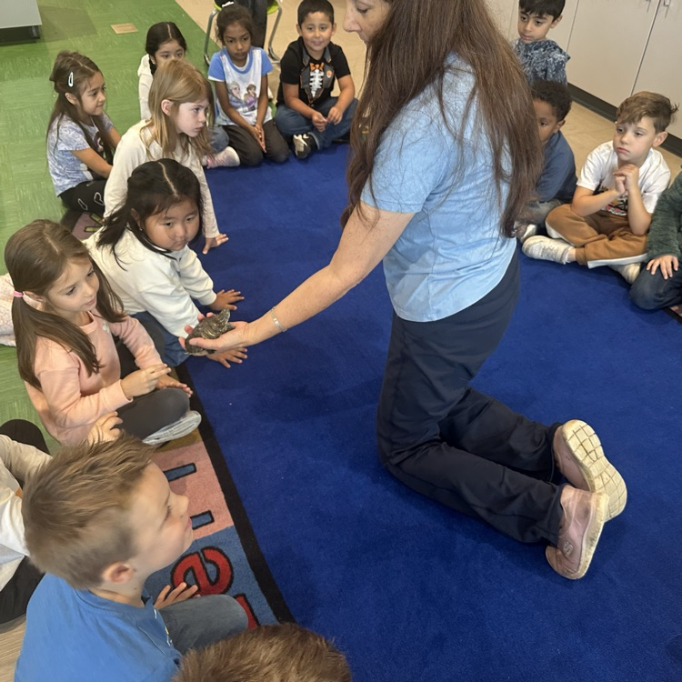 The Naturalist! 🍃🐇🐀🦡🦔