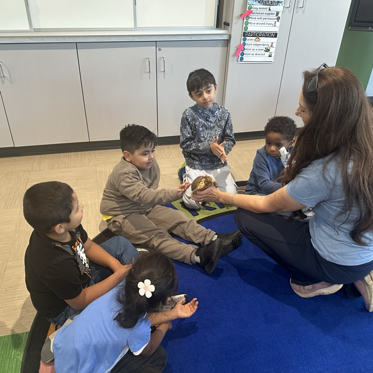 The Naturalist! 🍃🐇🐀🦡🦔