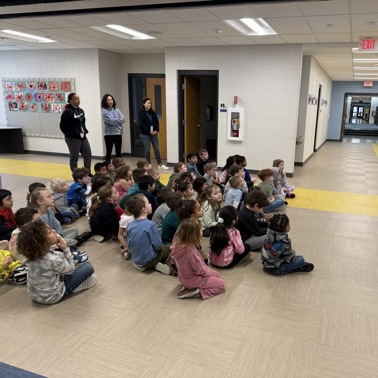 Kindergarten Science Activity 