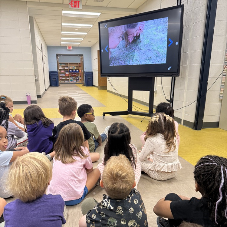 Kindergarten Science 🧪🔬