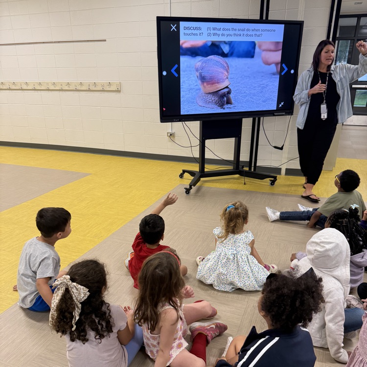 Kindergarten Science 🧪🔬