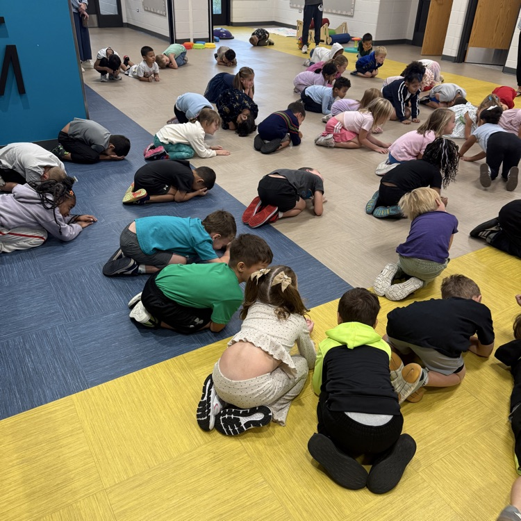 Kindergarten Science 🧪🔬
