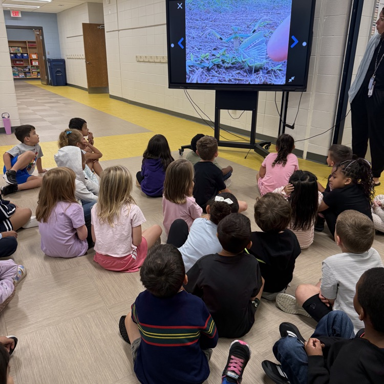 Kindergarten Science 🧪🔬