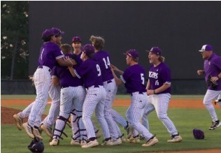 Saluda baseball team image