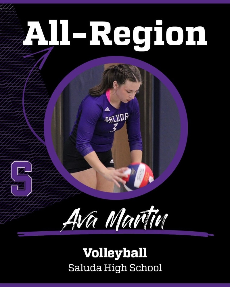 Ava Martin All Region Volleyball image