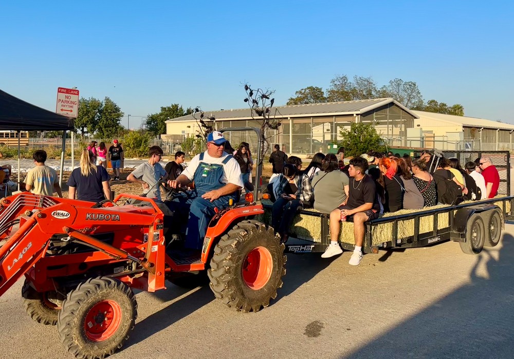 Burbank pumpkin patch