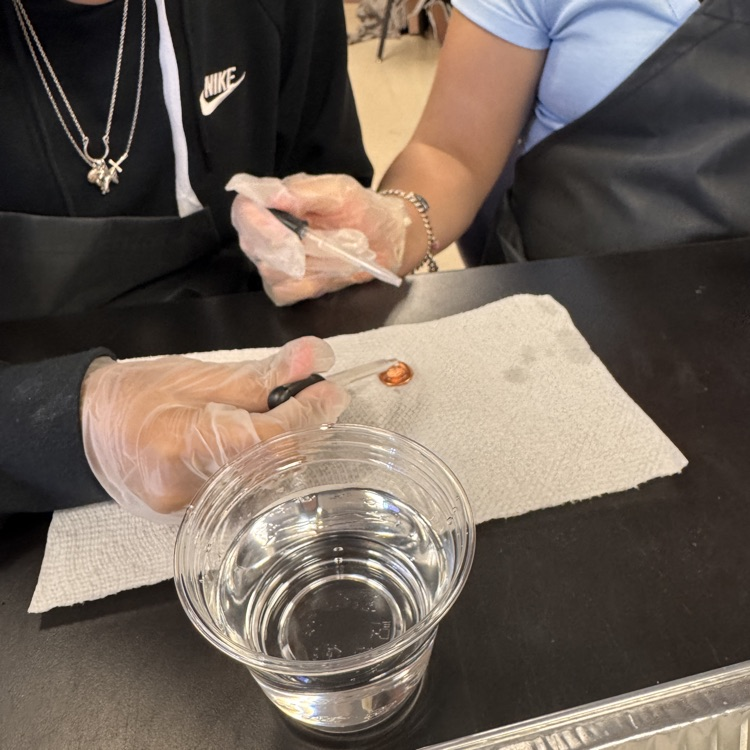 Students learn the properties of water 