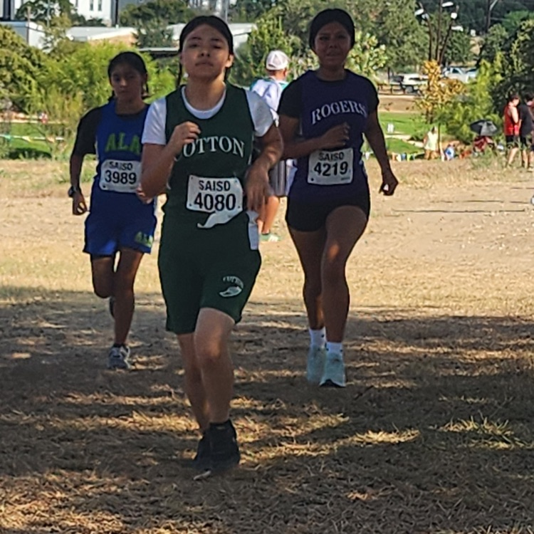 Cross country runners