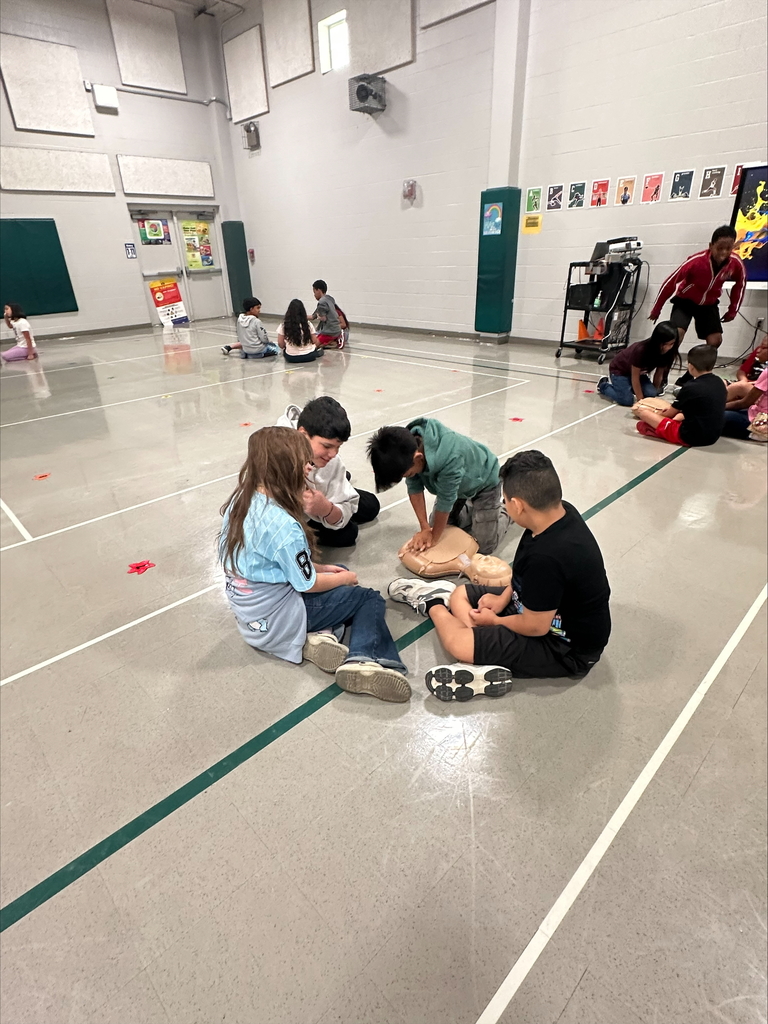 CPR 2