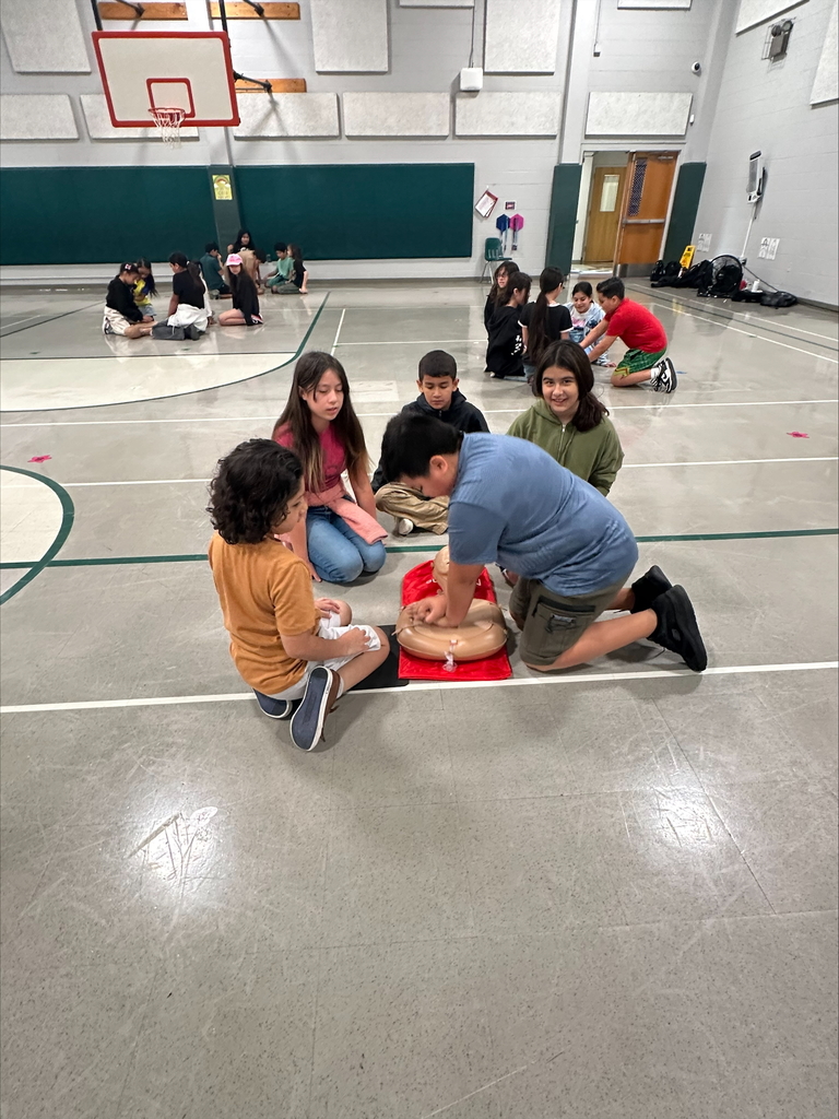 CPR 3