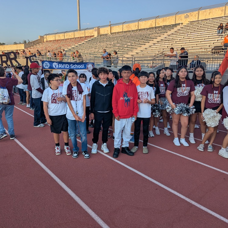 IB Bowl