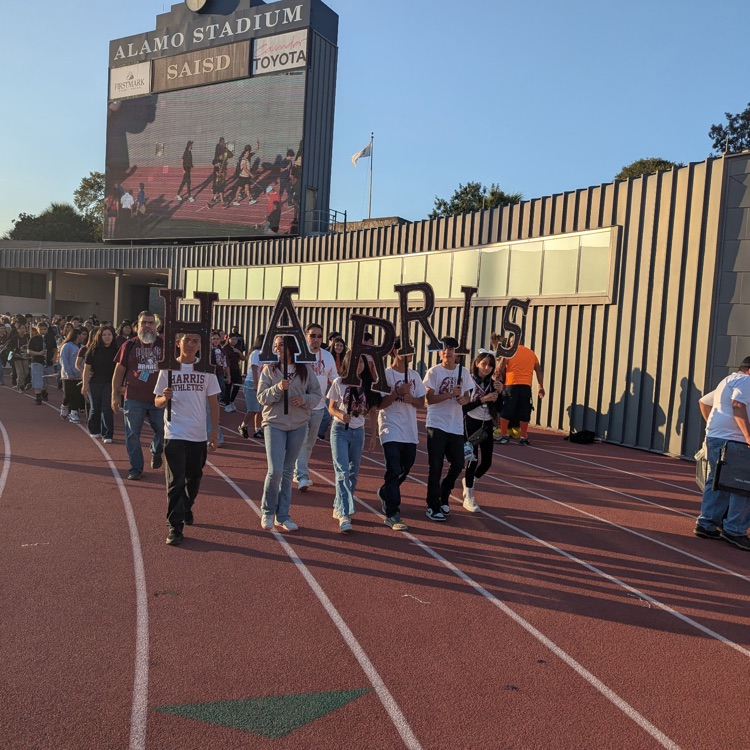 IB Bowl