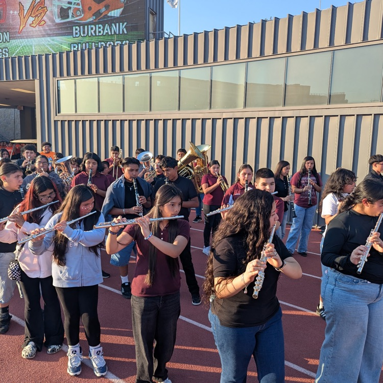 IB Bowl