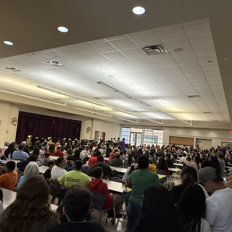 The bear band had a large audience at tonight’s concert.
