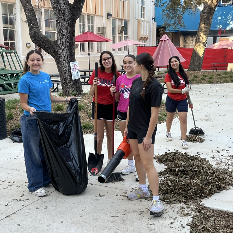 Saturday Festivities