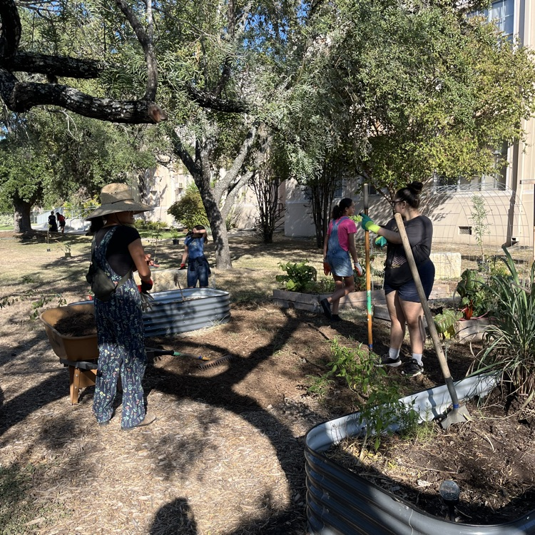 Saturday Festivities