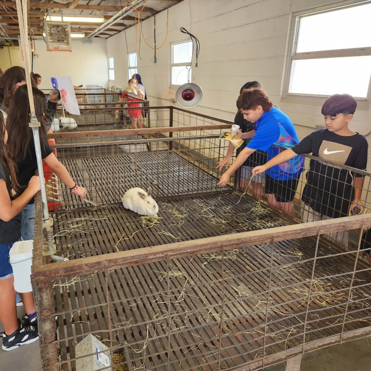 Ag in the City field trip