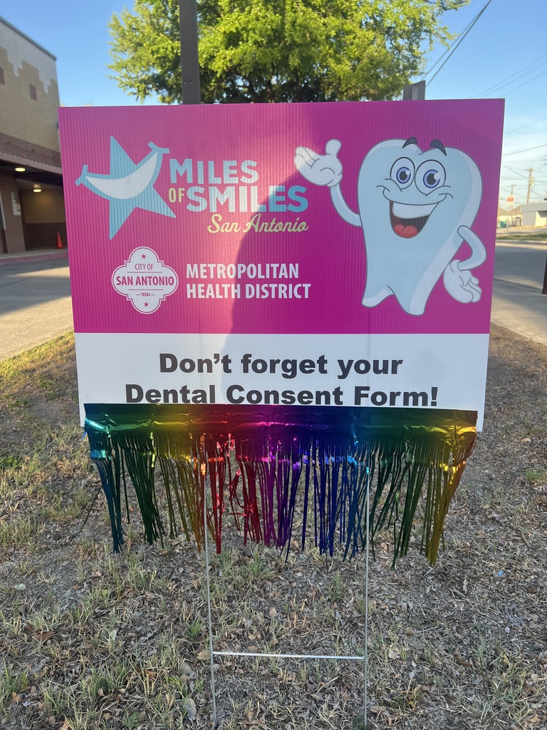 Dental Check ups