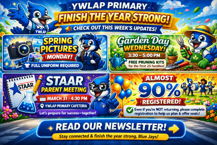 newsletter 