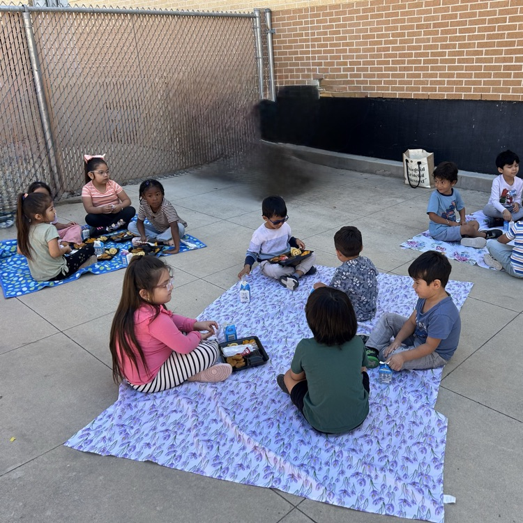 picnic with the principals