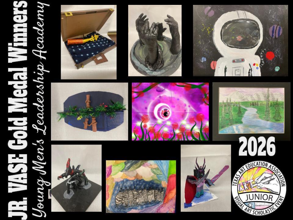YMLA Jr VASE projects