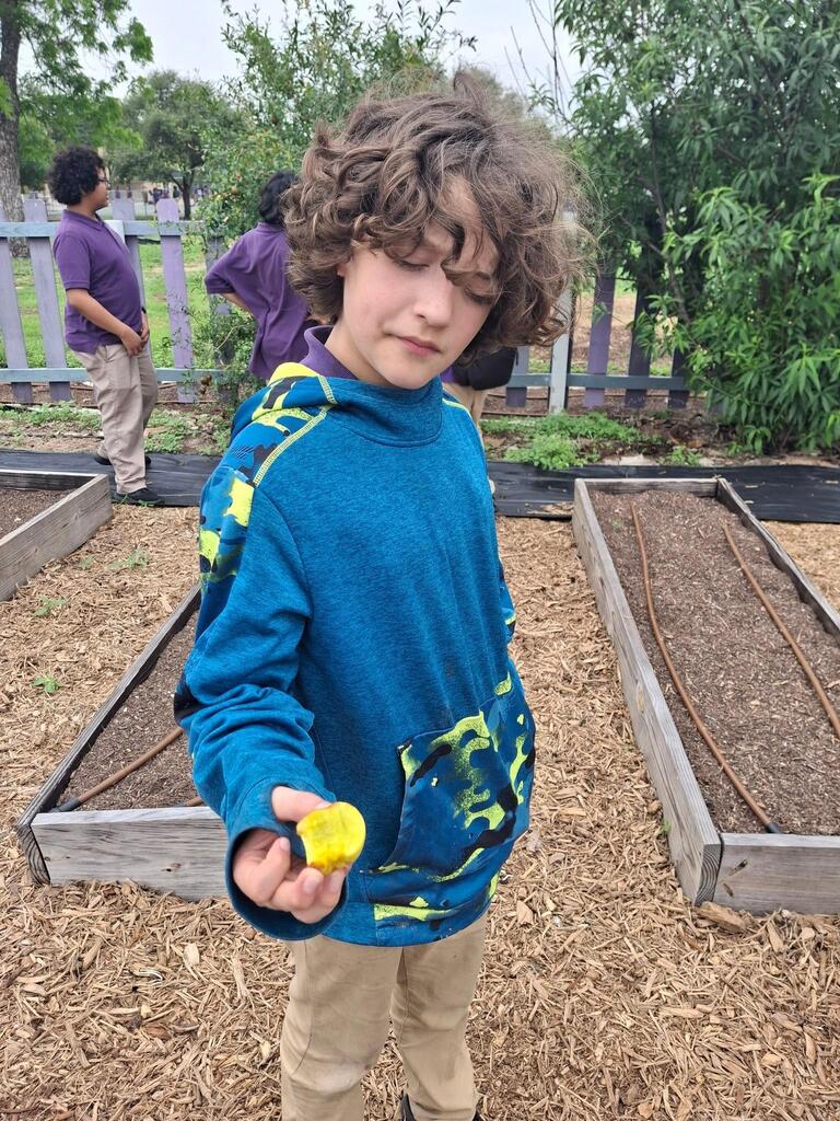 YMLA garden