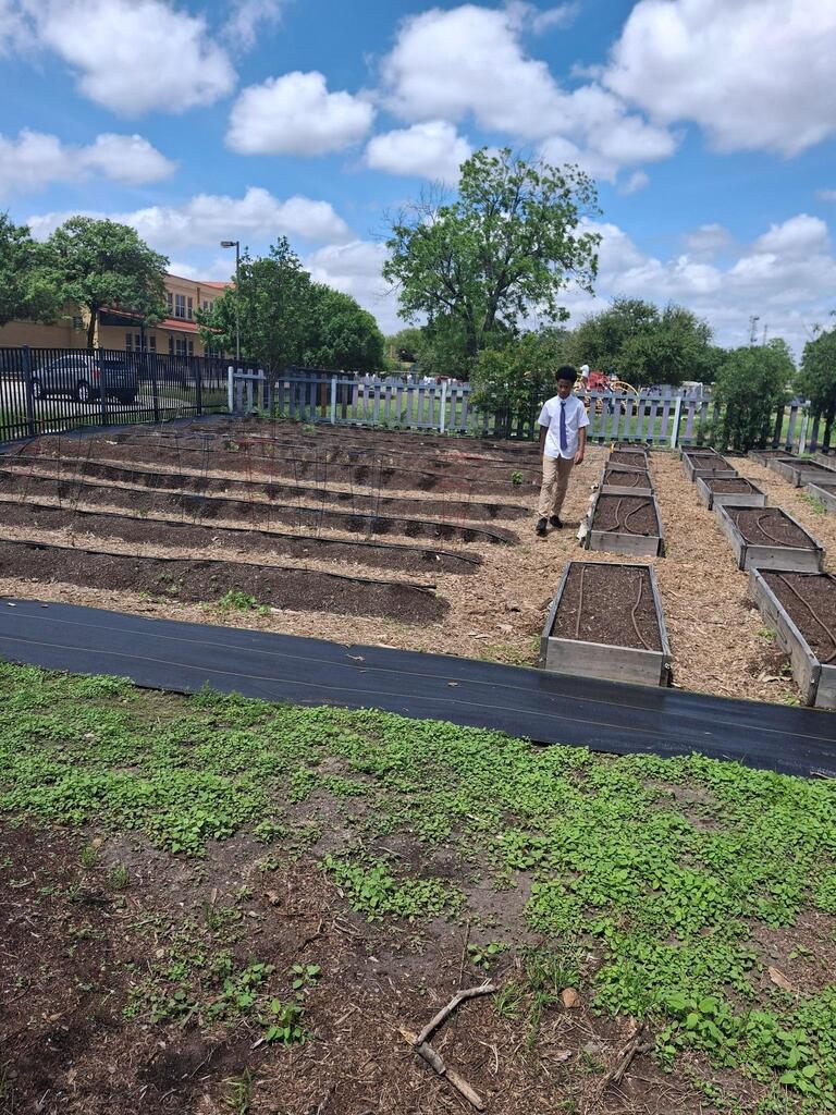 YMLA garden