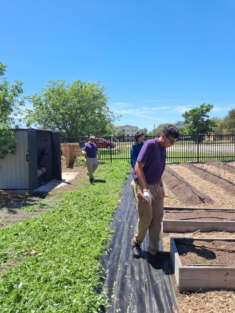YMLA garden