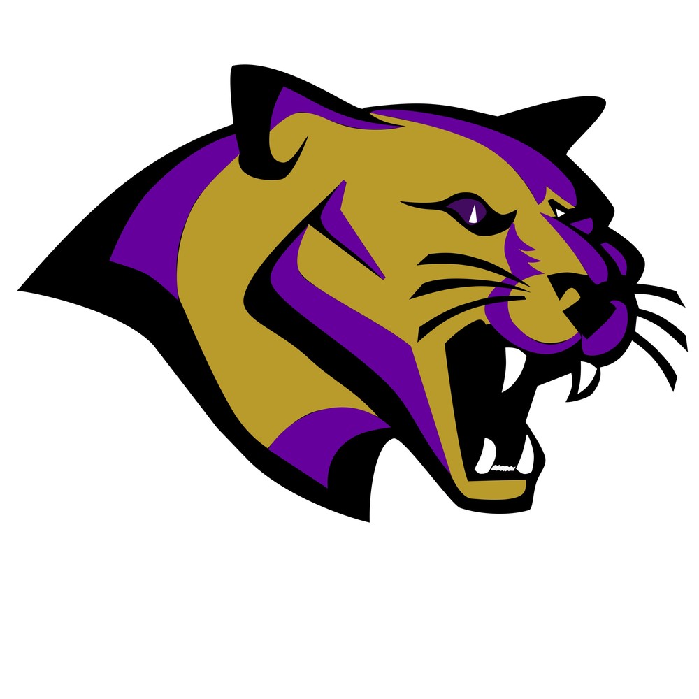Cougar
