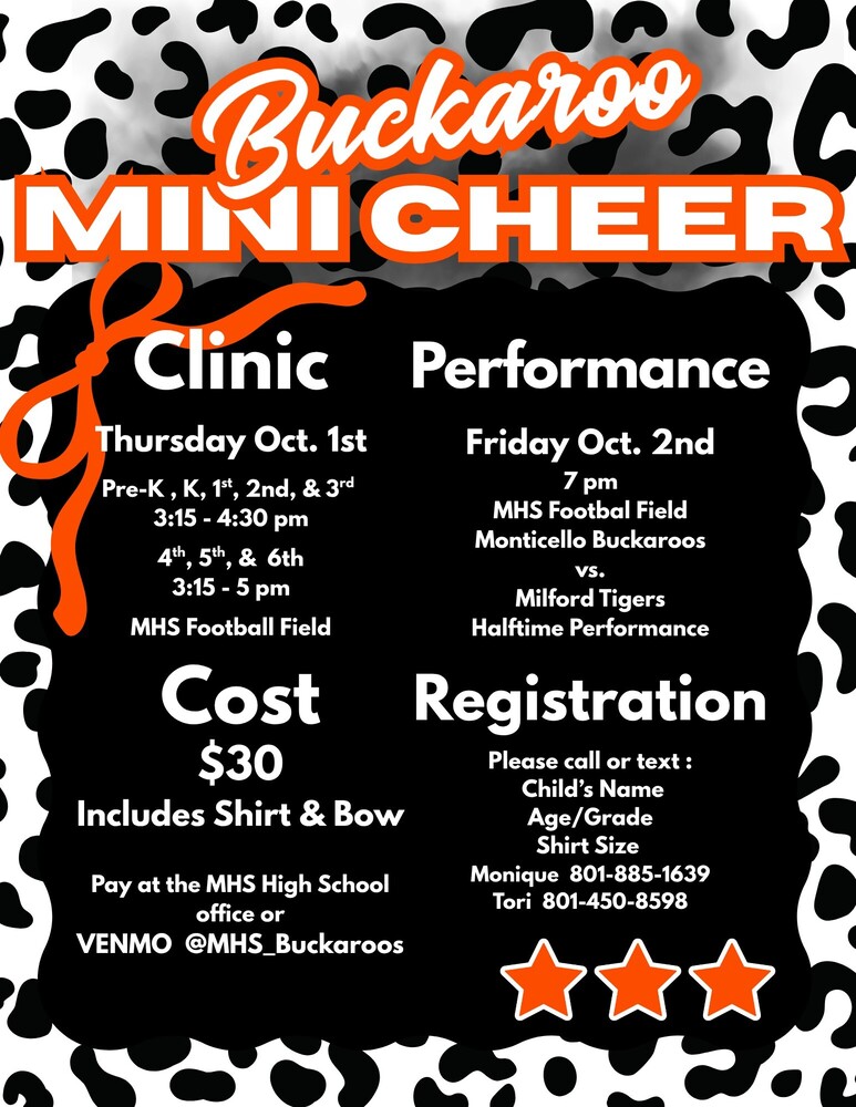 MHS Mini Cheer