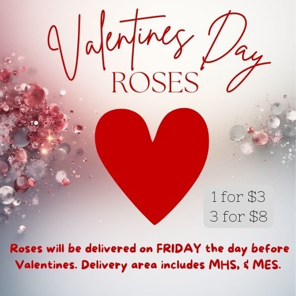 Valentines Roses