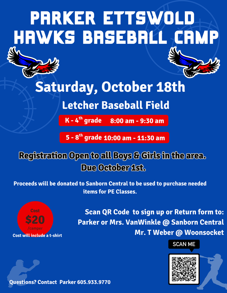 Baseball Camp