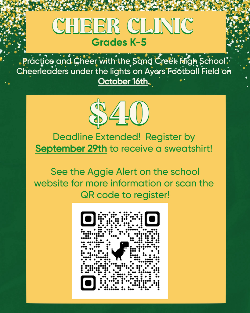 Cheer Clinic