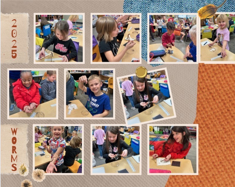 First Grade - Worms to the Wise